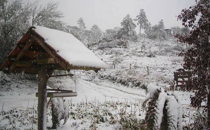 Defesa Civil emite alerta para frio intenso em Santa Catarina nesta quinta-feira