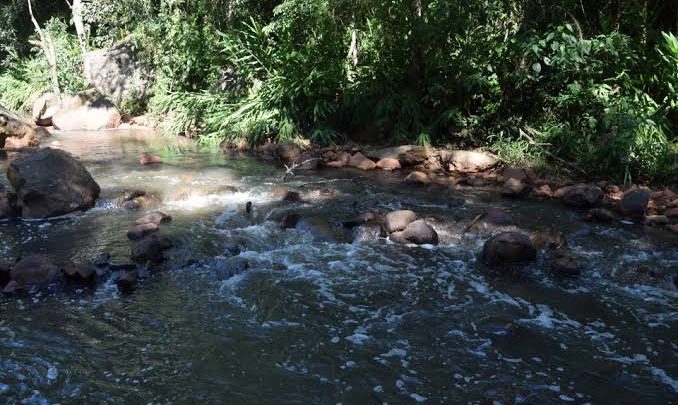 Empresa de Chapecó paga multa de R$ 1,3 milhão por poluição em rio