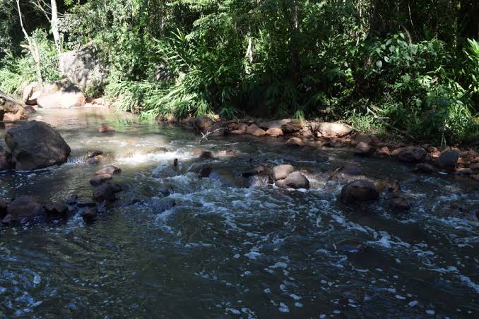 Empresa de Chapecó paga multa de R$ 1,3 milhão por poluição em rio