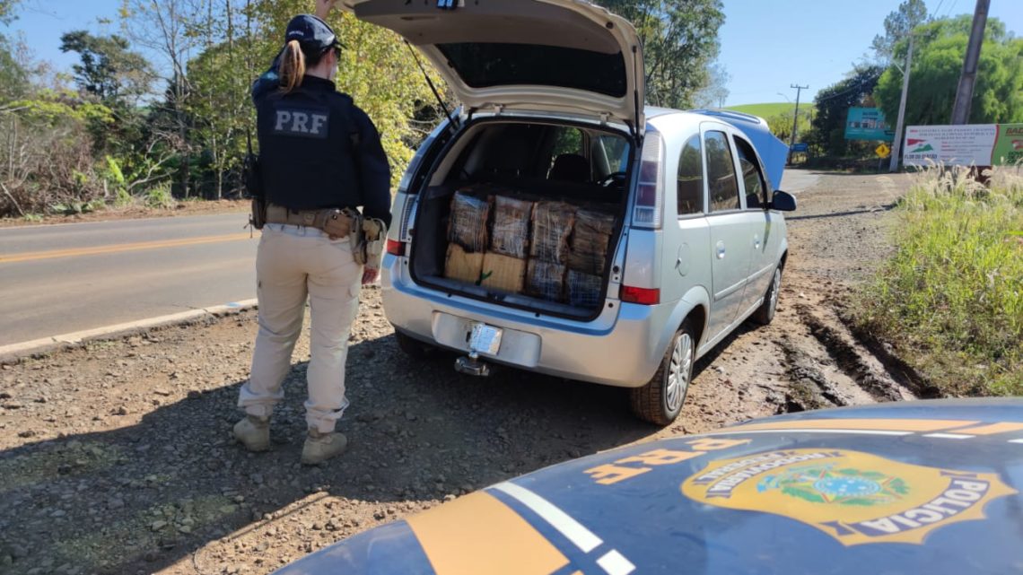 Ação apreende carga de maconha na BR-282