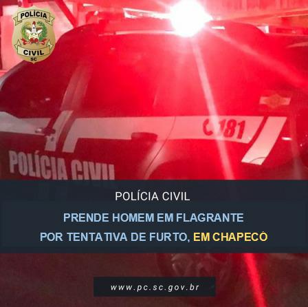 Polícia Civil prende homem por tentativa de furto no bairro Palmital