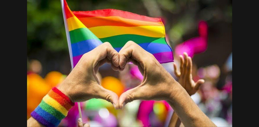 Neste domingo se comemora o Dia Internacional do Orgulho Gay