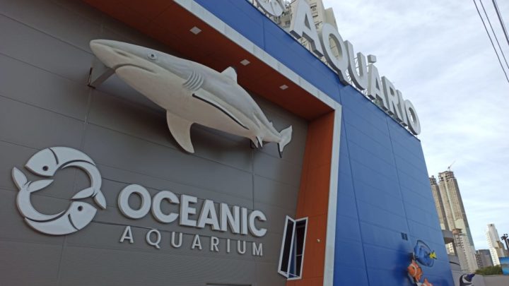 Oceanic Aquarium investe em medidas de biossegurança