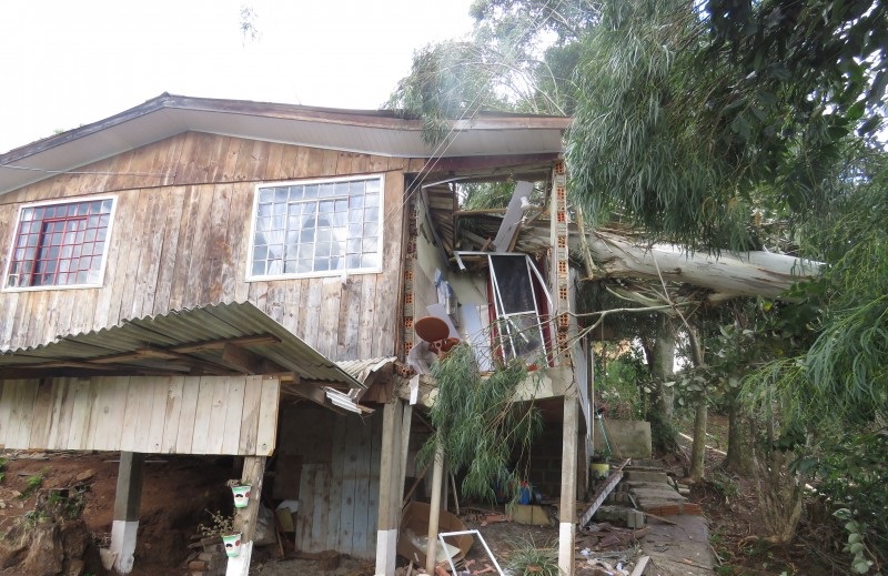 Vento derruba árvore sobre residências em Herval d´Oeste