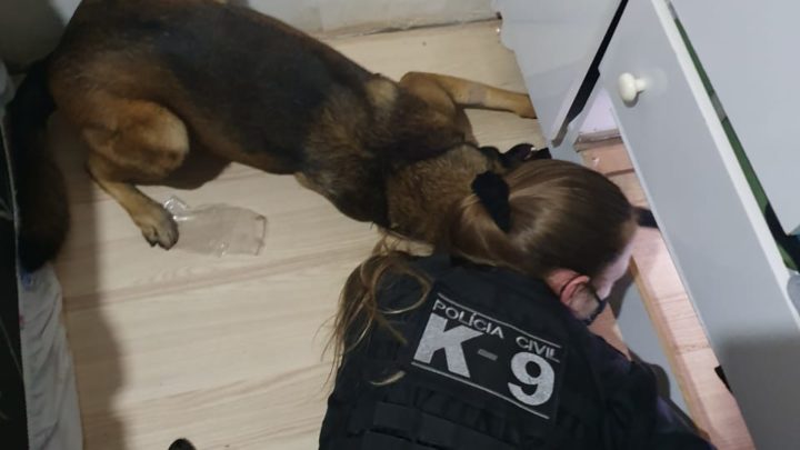 Polícia Civil do Estado de Santa Catarina deflagra operação “SCURRA” e cumpre mais de 100 ordens judiciais