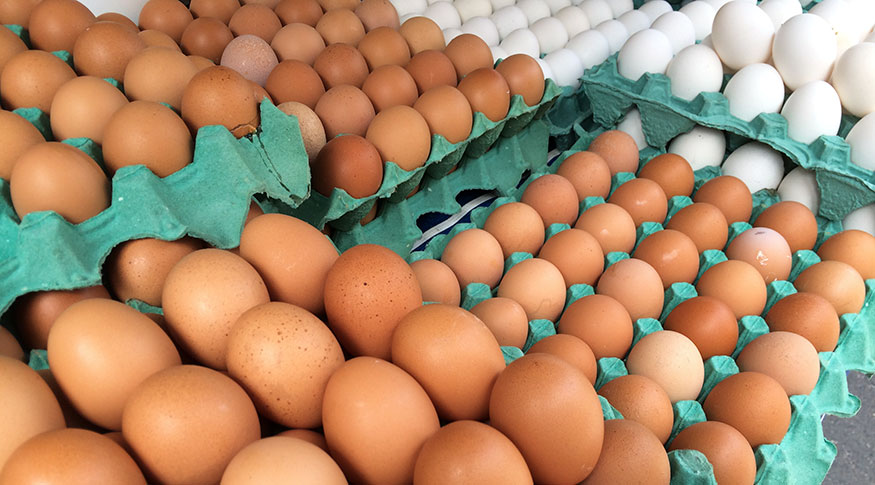 BRF elimina uso de ovos de galinhas criadas em gaiolas