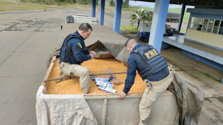 PRF apreende bitrem com 500 mil maços de cigarros contrabandeados do Paraguai escondidos em carga de milho em Água Doce na BR-153
