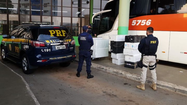 Cerca de 350kg de pescados são apreendidos na rodoviária de Chapecó