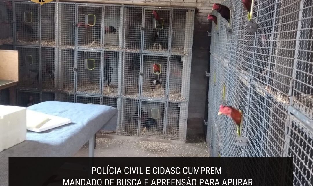 Polícia Civil e CIDASC cumprem mandado de busca e apreensão para apurar maus tratos contra os animais