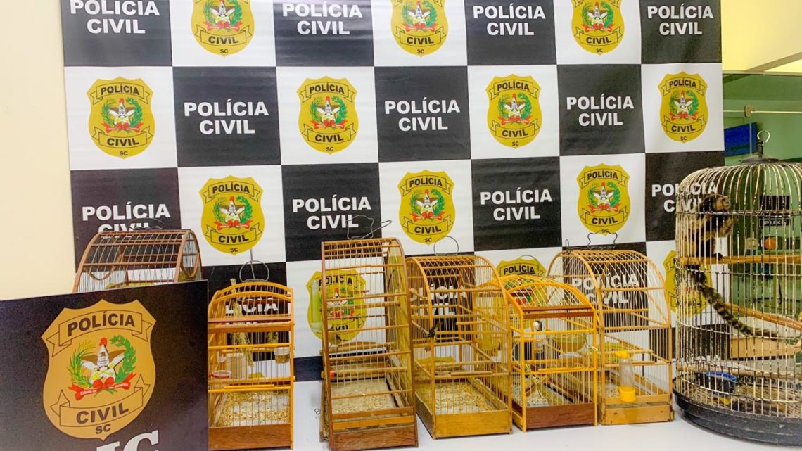 Polícia Civil apreende animais silvestres em SC