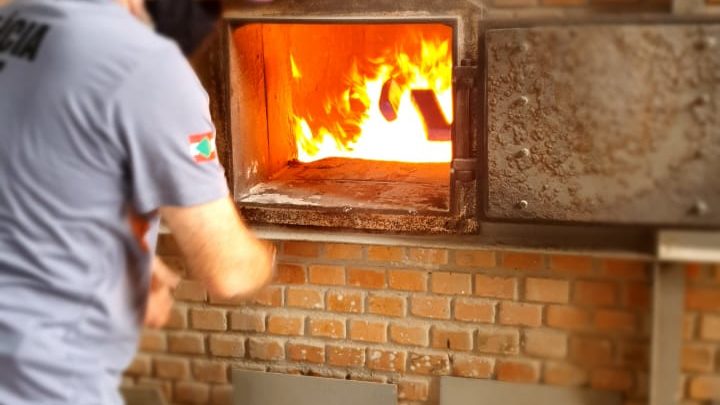 Polícia Civil incinera mais de 300kg de maconha em São Lourenço do Oeste
