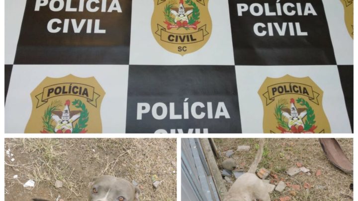Polícia Civil resgata cães em situação de maus tratos em SC