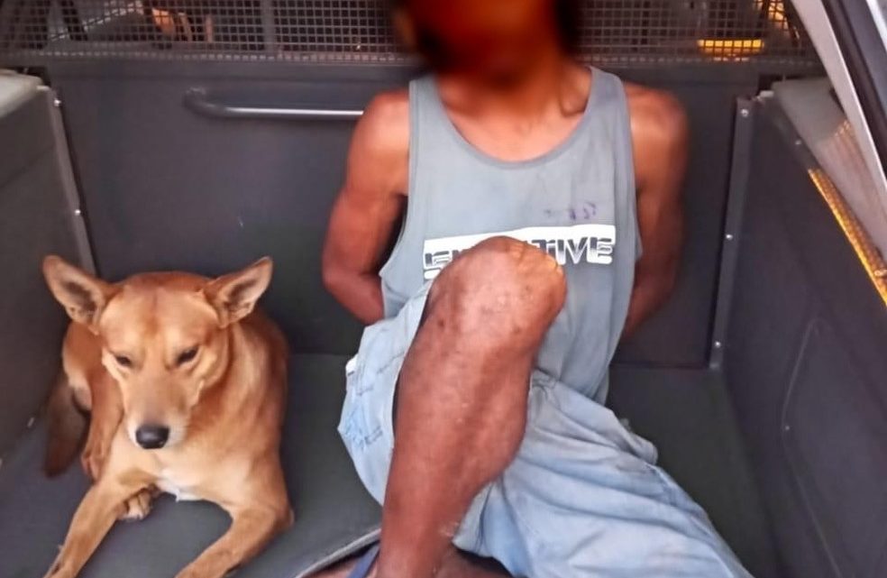 Cachorro entra em viatura durante prisão de homem por furto de fios de cobre