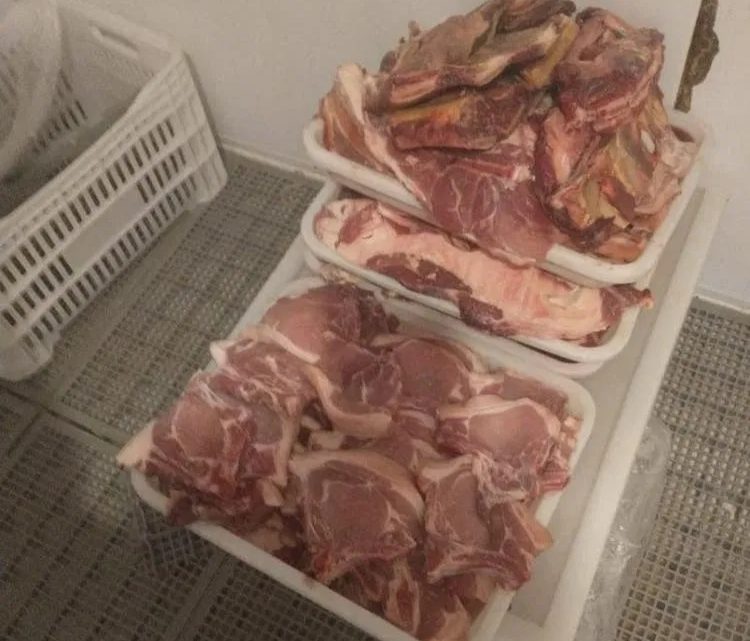 Açougue é interditado com mais de duas toneladas de carne estragada em SC