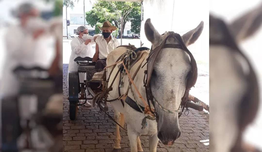 Idoso de 90 anos vai de charrete se vacinar contra a Covid-19