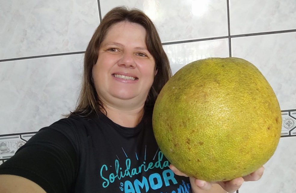 Fruta cítrica de 3 quilos é encontrada por moradora no quintal de casa em SC: ‘Me assustei’, diz