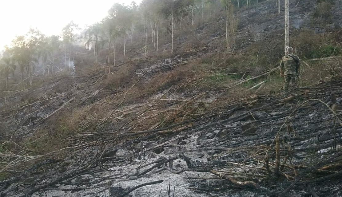 Polícia Ambiental flagra incêndio criminoso em mata no interior de Seara