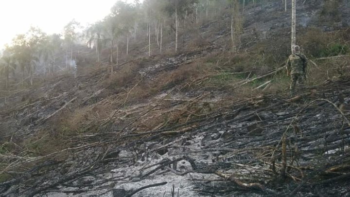 Polícia Ambiental flagra incêndio criminoso em mata no interior de Seara
