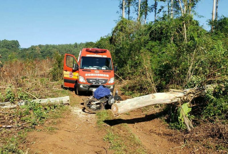 Idoso morre após ser atingido por eucalipto no Oeste de SC