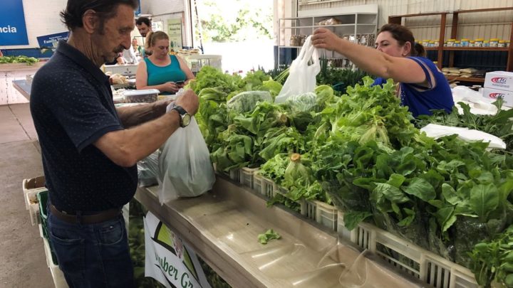 Decreto libera feiras livres da agricultura familiar em Chapecó