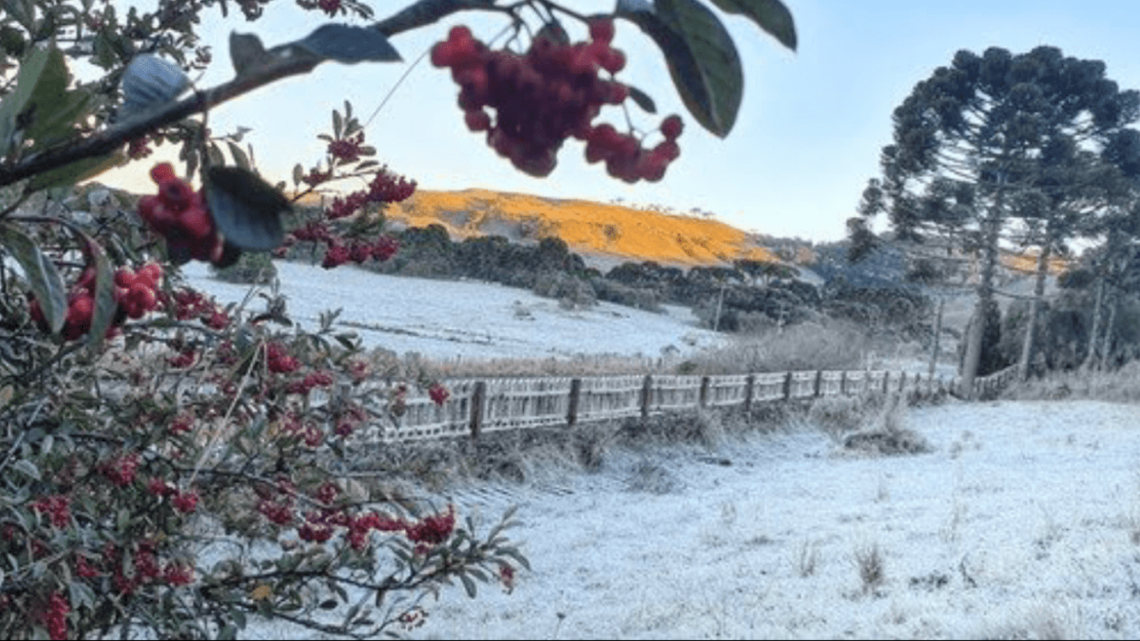 Inverno entrega cartão de visitas na primeira semana de frio do ano em SC