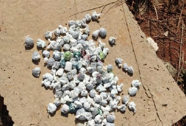 Maconha é encontrada nos fundos de estabelecimento no bairro Efapi