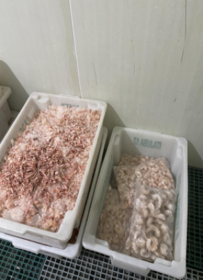 Ação de fiscalização apreende 3,6 toneladas de pescados impróprios ao consumo e interdita estabelecimento clandestino em SC