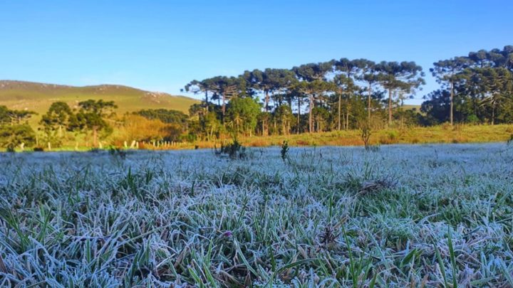 SC tem alerta de frio intenso e pode registrar 0ºC nos primeiros dias da primavera