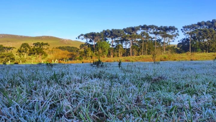 SC tem alerta de frio intenso e pode registrar 0ºC nos primeiros dias da primavera