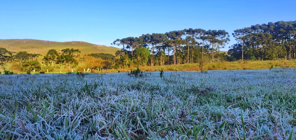 SC tem alerta de frio intenso e pode registrar 0ºC nos primeiros dias da primavera