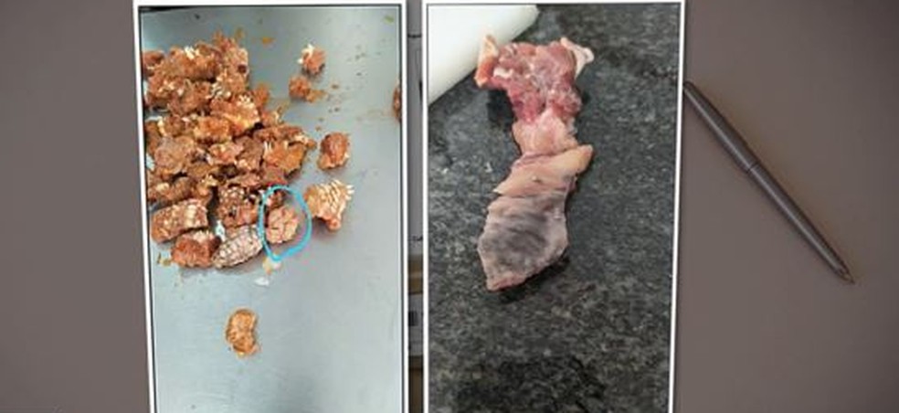 Polícia investiga denúncia de que carne estragada era servida em presídio feminino de SC