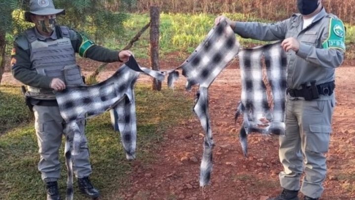 Agricultor é atacado por animal selvagem no RS