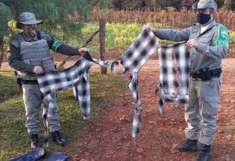 Agricultor é atacado por animal selvagem no RS