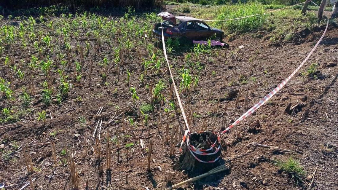 Homem morre após sair da pista na SC 283 em Palmitos