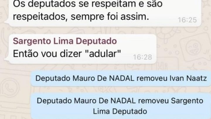 Grupo de Whatsapp dos deputados de SC é deletado por excesso de confusão