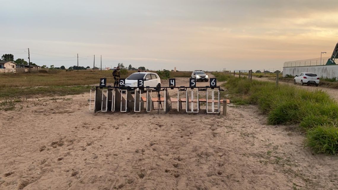 Polícia Civil flagra corrida clandestina de cães e prisões são efetuadas por maus tratos em SC