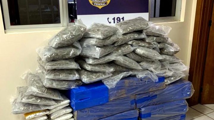 Vídeos: PRF apreende quase 240 kg de maconha e skunk na BR 282 em Maravilha