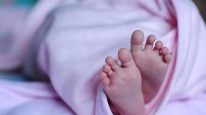 Casal de mulheres ganha direito de registrar bebê gerado com inseminação caseira em SC