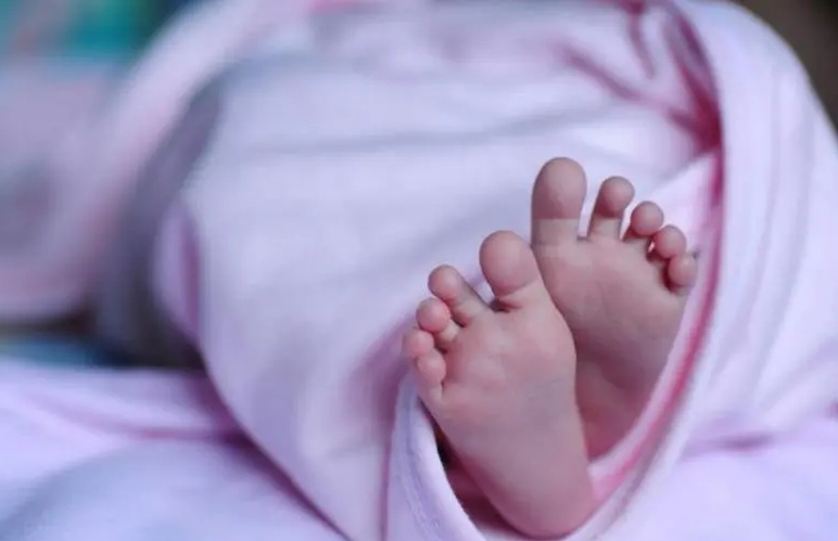 Casal de mulheres ganha direito de registrar bebê gerado com inseminação caseira em SC