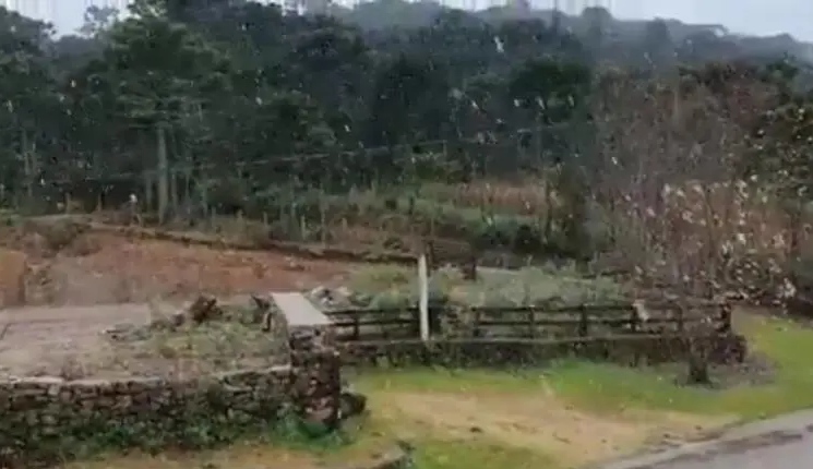 São Joaquim registra primeira neve de 2021 em SC