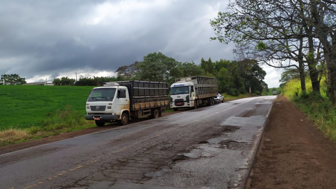 Engavetamento de 4 veículos é registrado na SC 163 em Iporã do Oeste