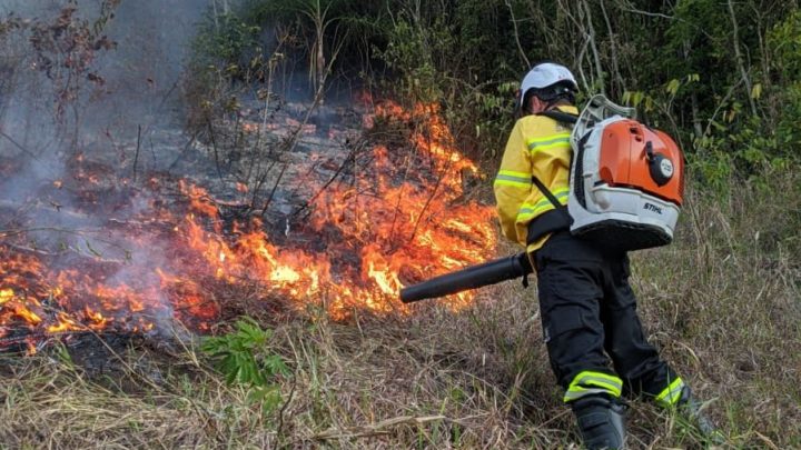 Incêndio destrói cerca de 6 hectares de floresta em Jardinópolis