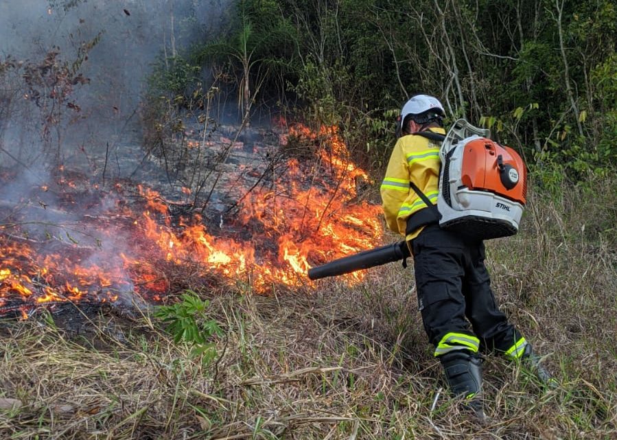 Incêndio destrói cerca de 6 hectares de floresta em Jardinópolis