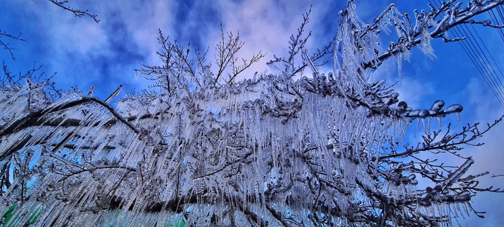 Cidades de SC amanhecem abaixo de -7 °C com a chegada do frio intenso