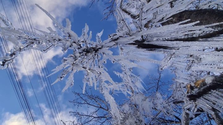 Massa de ar polar traz queda drástica nas temperaturas e pode causar geada em SC