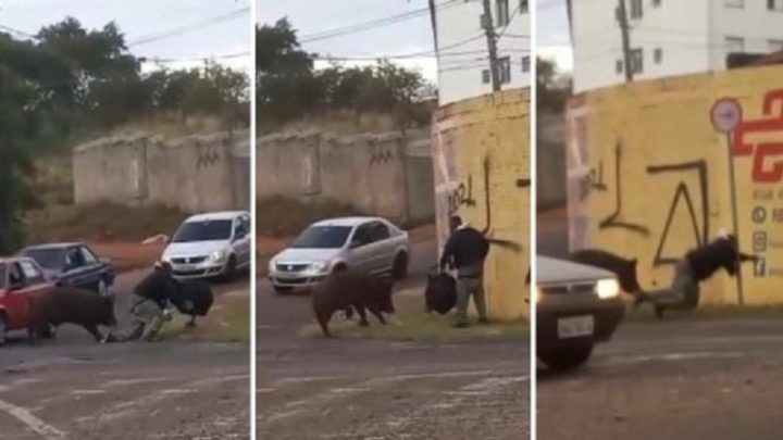 Vídeo: porco derruba e ataca entregador de app, que leva pontos nas nádegas