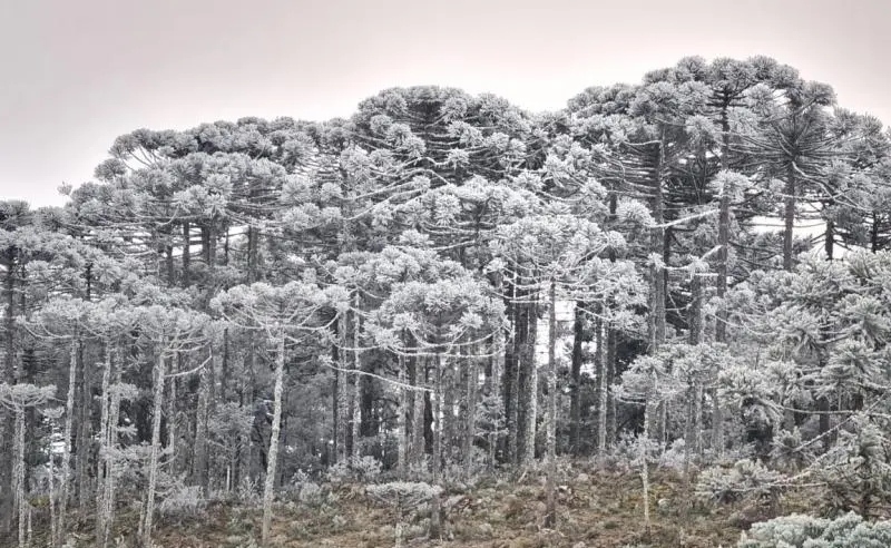 O amanhecer mais frio do ano em SC