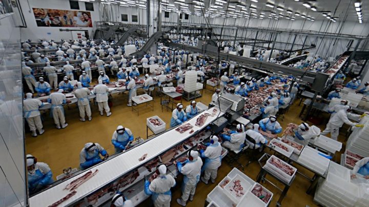 Após aumento de casos de Covid, Chapecó aumenta fiscalização e vacina trabalhadores nas agroindústrias