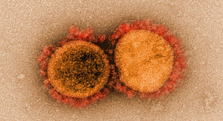 Coronavírus veio de laboratório, diz Partido Republicano dos EUA