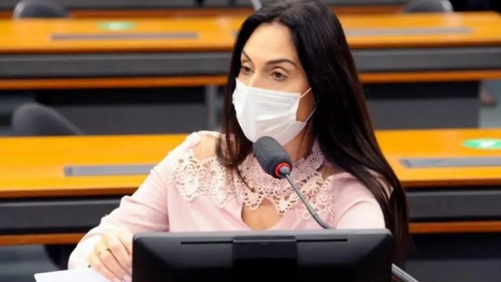Deputada catarinense vai propor proibição nacional à linguagem neutra
